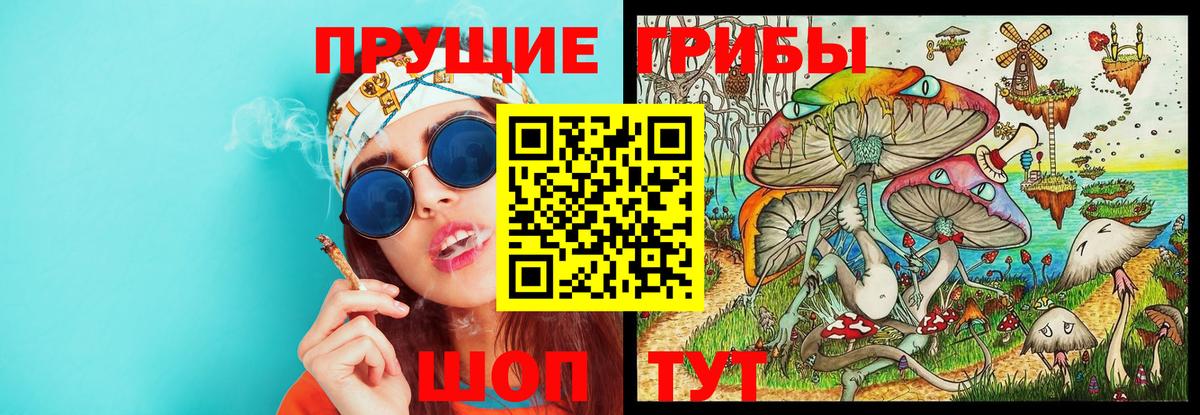 Галлюциногенные грибы GOLDEN TEACHER  Вход с VPN  Галлюциногенные грибы Magic Shrooms  Карпинск 